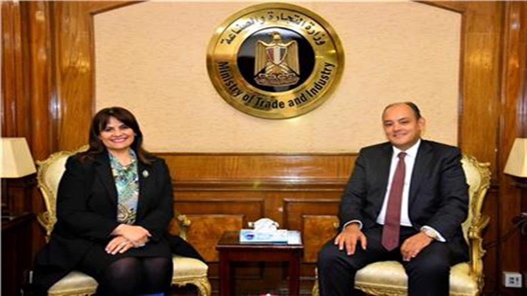 وزيرا التجارة والهجرة يبحثان إنشاء شركة مساهمة للمصريين بالخارج