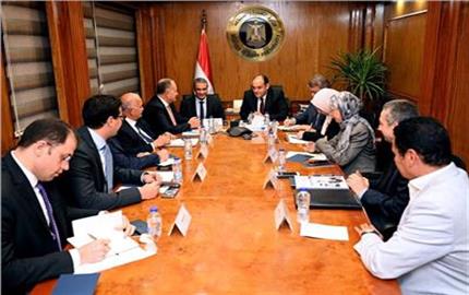 وزير التجارة يبحث فرص تطوير صناعة المنتجات الجلدية في مصر