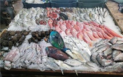 تعرف على أسعار الأسماك في سوق العبور اليوم 29 يوليو