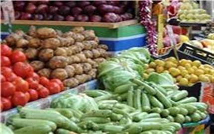 «المركزي للإحصاء»: مليون و151 ألف دولار قيمة صادرات مصر من الخضروات
