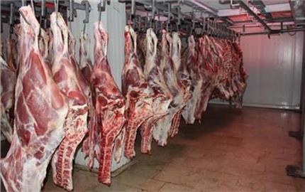 «التموين» طرح اللحوم بأسعار تبدأ من 130 جنيه للكيلو استعدادا لعيد الأضحى