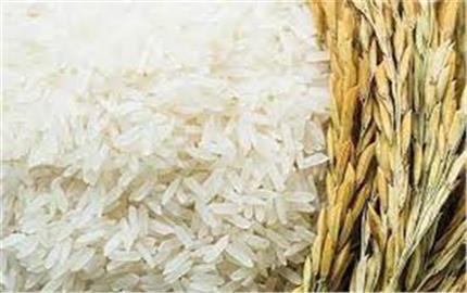 التموين تتحفظ على 455 طن أرز لاخفائها بمخازن سرية والنقل بدون تصريح